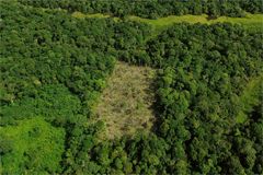 Cleared Forest area in Brazil