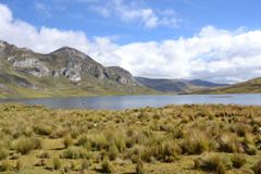 Protected area of Nor Yauyos-Cochas in the Peruvian Andes