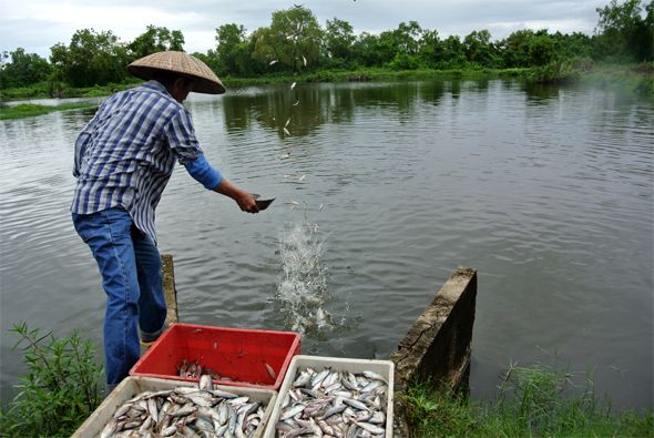 Ein Mann an einem Teich.