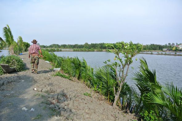 Ein Mann an einem Fischteich.