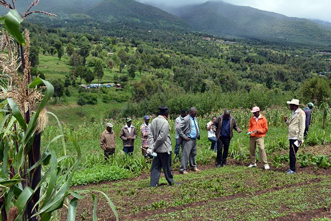 Group of people on an acre