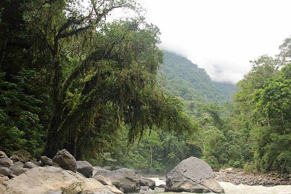 Peru beheimatet spektakuläre Regenwälder mit einer reichhaltigen Artenvielfalt (hier: In der Region Rio Abiseo). Foto: Michael Hüttner/IKI Regenwald in Peru
