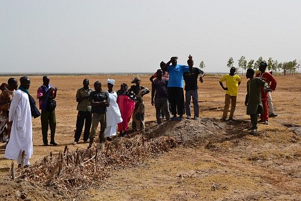 Menschen stehen um Zäune herum