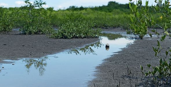 Landscape photo of Nicoya