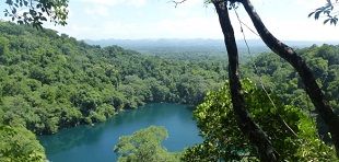 Rainforest and a lake