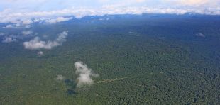 Das Logo der Europäischen Klimaschutzinitiative; BMUB