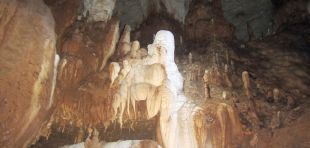 Das Logo der Europäischen Klimaschutzinitiative; BMUB