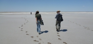 Salt desert (Solonchak) Basarkelmes; photo: Alisher Atakhodjaev