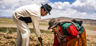 Kartoffelbauern auf der Hochebene von Puno, Peru; Foto: © GIZ/Leslie Searles.