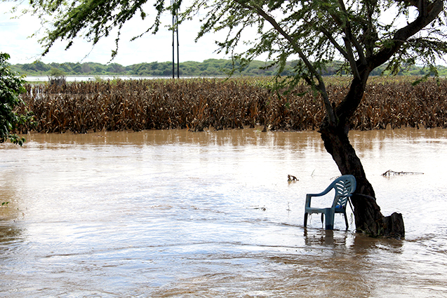 Überschwemmtes Maisfeld in Piura (Nordperu) nach dem El Niño-Ereignis im März 2017; Foto: © GIZ.