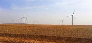Wind farm in Mongolia; Photo: Tegshjargal Bumtsend.