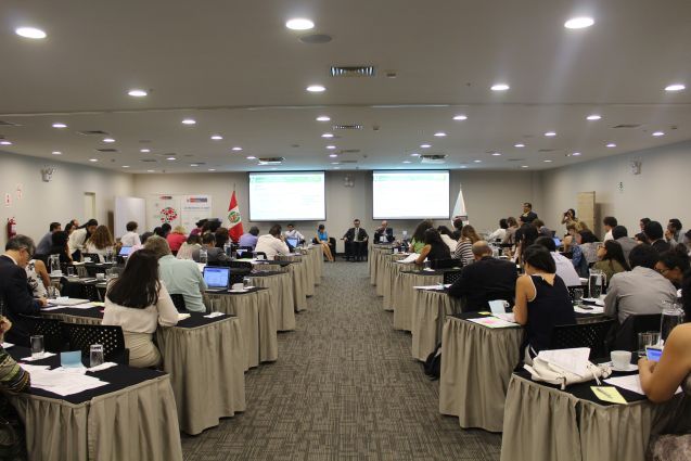 Vertreter der multisektorialen Arbeitsgruppe; Foto: GIZ/ Gino Zúñiga