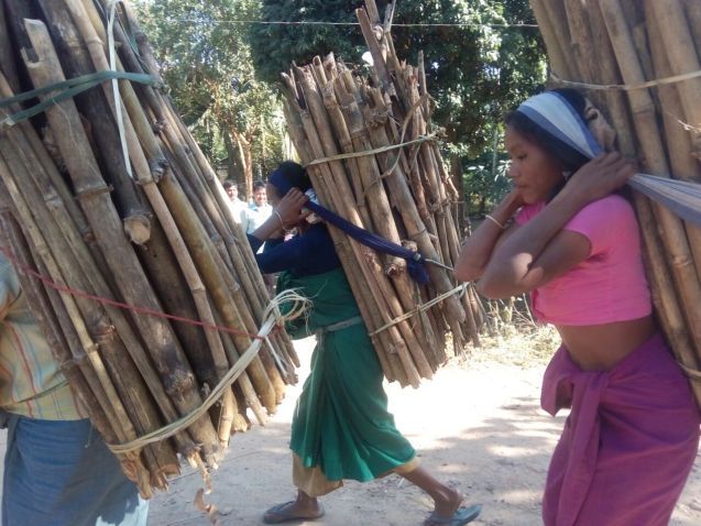 Frauen beim Tragen von Feuerholz; Foto: GIZ India / Kundan Burnwal
