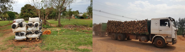 The wood energy value chain in Paraguay: charcoal for sale (left) and transporting woody biomass (right); Photos: Lourdes González Soria - Universidad Nacional de Asunción (Paraguay) 