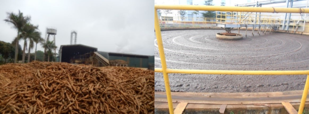 Cassava for ethanol production (left) and cassava starch wastewater treatment for biogas production (right) in Viet Nam; Photos: Van Dinh Son Tho, Hanoi University of Science and Technology (Viet Nam)