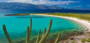 Coronado Island, Bahía de Loreto National Park; Photo: Richard Jackson