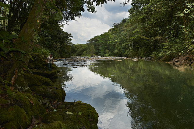 Amazon rainforest of San Martín, Peru © GIZ/Thomas Müller