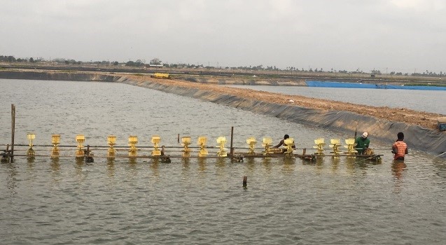 Arbeiter installieren eine Anlage zur Sauerstoffanreicherung an einem der Wasserbecken; Foto: Marco Vinaccia