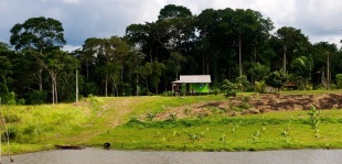 Landschaft in Brasilien mit kleiner Farm; Foto: Kate Evans/CIFOR