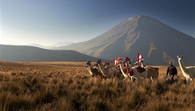 Bewohner der Andenregion in Peru mit Alpakas; Foto: Thomas Müller/GIZ