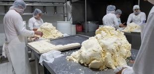 Käserei in Arandas, Mexiko; Foto: Wolfgang Bernert/Deutsche Welle