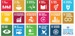 Die Ziele für Nachhaltige Entwicklung (SDGs); Abbildung: Vereinte Nationen