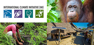 IKI-Ländercall Aufruf Collage mit Solaranlage, Orang-Utan und Aufforstungsprojekt