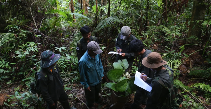 Forest protection in the Vietnamese Annamite Mountains | Internationale ...
