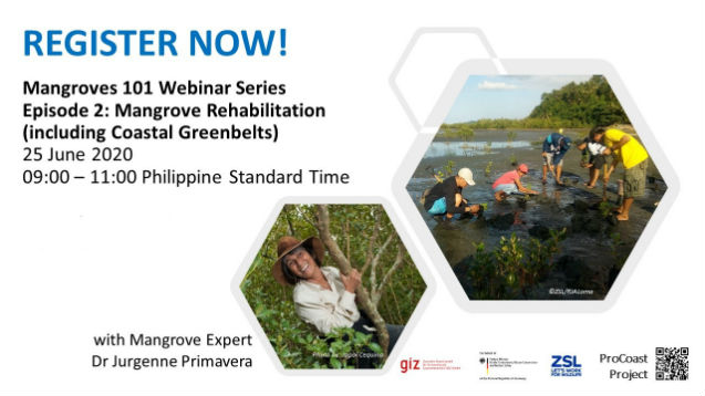 Ankündigung für das Seminar 101 Mangrove