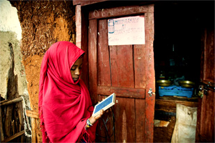 Grafik: Solarzellen auf einer Wiese 