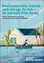 Cover der Broschüre Environmentally friendly cold storage for fish – an example from Kenya 