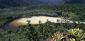 Fels mit Bromelien und Sandbank eines Flusses in Naturschutzgebiet der Serra do Mar mit Mangrovenvegetation auf der Ilha Grande, Mata Atlantica; Foto: Werner Rudhardtt