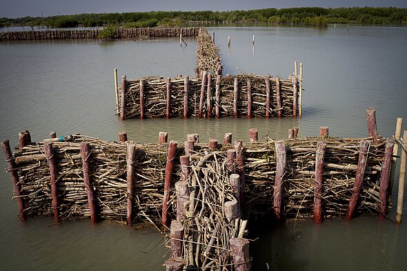 Permeable structures that dampen the waves and let mud pass 
