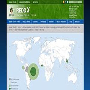 Screenshot of webpage reddx.forest-trends.org 