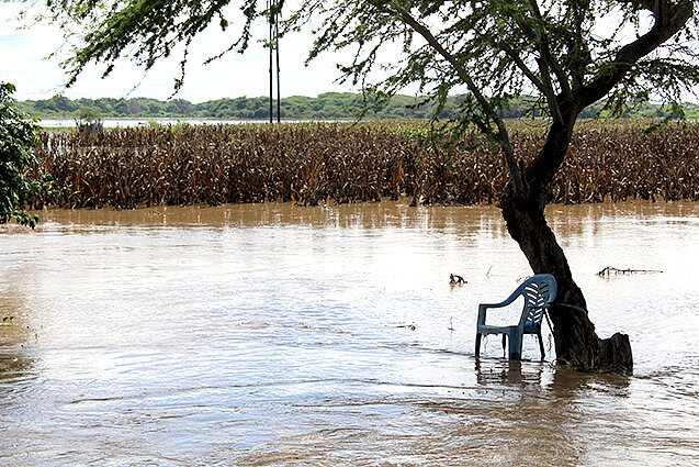 Überschwemmtes Maisfeld in Piura (Nordperu) nach dem El Niño-Ereignis im März 2017; Foto: © GIZ.