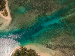 Aerial view of river delta