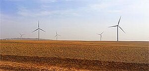 Windkraftpark in der Mongolei; © Foto: Tegshjargal Bumtsend.t