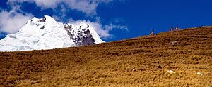 Vikunjas beim Grasen – im Hintergrund die Anden; Foto: TMI