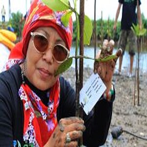 Touristin pflanzt Mangroven-Setzling.
Zwei Mädchen pflanzen Mangroven-Setzling.