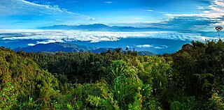 View on the Tatama National Park in Colombia 