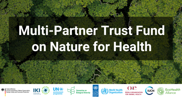 Announcement Picture Multi-Partner Trust Fund (MPTF) on Nature for Health. 
