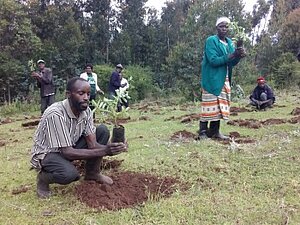 Planting trees in Kenya; Photo: Deutsche Welle