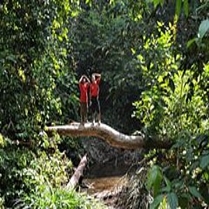 Two men standing on a tree trunk that lies above a forest river