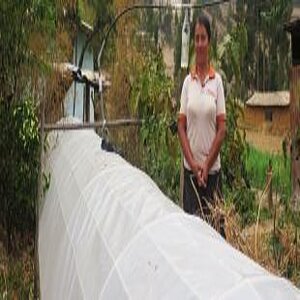 Zwei Arbeiter mit Schutzhelömen stehen auf einer Solardachanlage und säubern sie mit Wasser und Wischer.