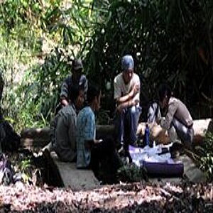 Workers resting in the forest