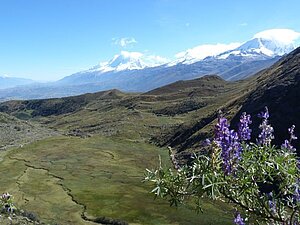Aussicht auf dem Weg nach Laguna Mullaca, Cordillera Blanca (Peru); Foto: TMI
