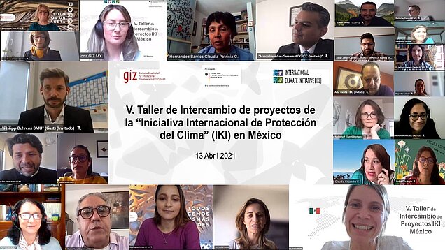 Am Schnitstellenworkshop für Mexiko nahmen Vertreterinnen und Vertreter aller IKI-Projekte in Mexiko teil. Foto: GIZ Videokonferenz