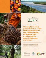 Using business models to address the drivers of deforestation in Peru ...