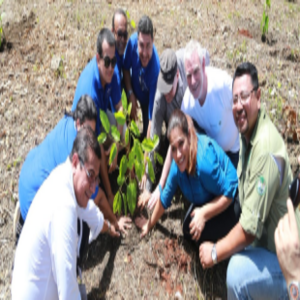 Planting activities in the Biosphere Reserve Sierra del Rosaria in Cuba; Photo: Randdy Fundora/GIZ