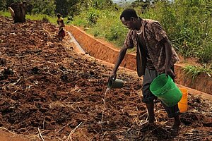 Ein Landwirt bewässert ein Feld in Tansania